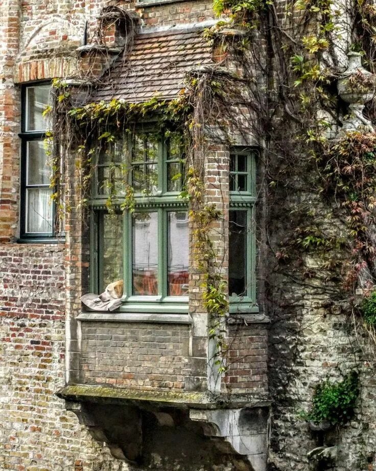 Окна старинный дом. Красивые старинные здания. Старинные окна. Окна старинных домов. Красивое старинное окно.