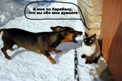 Индифферентно что это