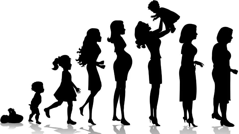 Развитие девочки с рождения. Силуэты женщин разных возрастов. Силуэт ребенка. Этапы жизни женщины. Силуэты от младенца до взрослого.