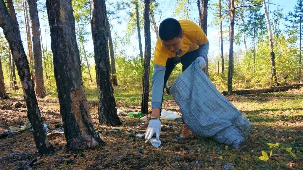 Субботник в лесу. Уборка леса. Уборка территории в лесу. Уборка леса. Субботник в лесу.