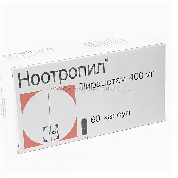 Ноотропил капсулы. Ноотропил пирацетам 800мг. Ноотропил 800 мг. Ноотропил 400 мг. Ноотропил капсулы 400 мг.