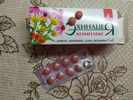 Биокор эхинацея