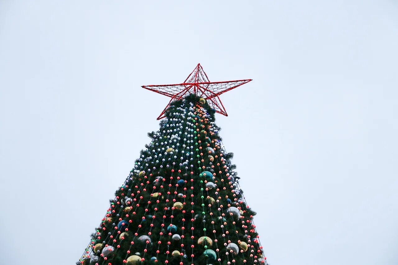 Новый год в деревне. Новогодняя ночь в деревне. Елка ель сосна. Елка. Елка в заозерном 2021.