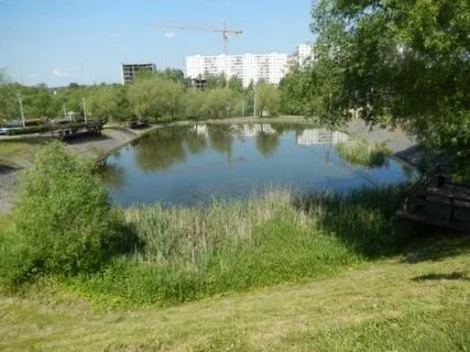 Г московский пруды