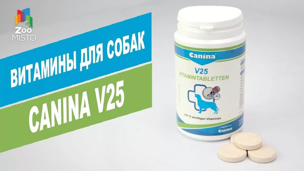 Витамин конина. Витамины v25 для собак. канина v25 для собак. canina v25 для щенков. канина витамины для собак.