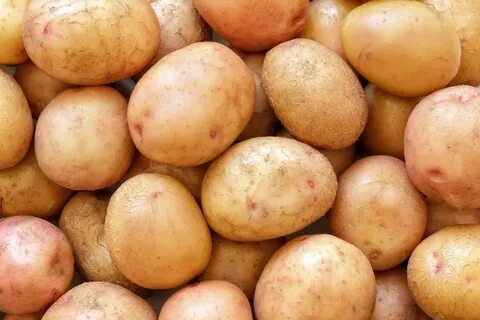 Картофель жуковский характеристика сорта отзывы вкусовые качества