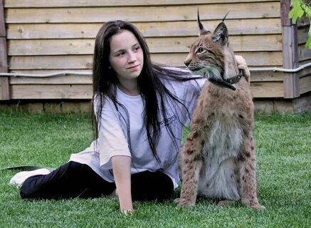 Ли домашний кот