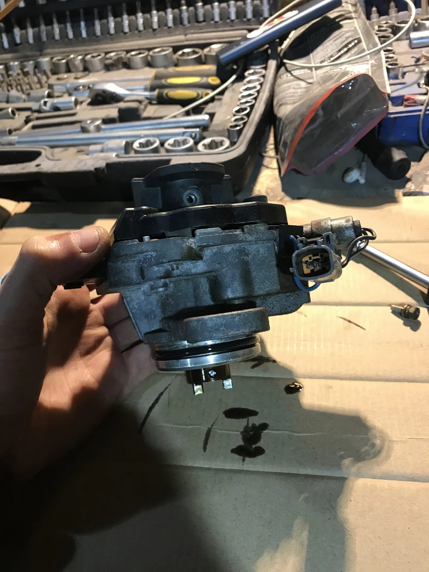 221622J211 NISSAN новый купить по цене от 6645 руб. - iZAP24