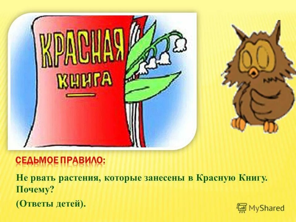 Песни занеси меня в красную книгу. Нельзя рвать растения которые занесены в красную книгу.. Красная книга Кузбасса презентация. Красная книга рисунок для детей. Не рвите цветы которые занесены в красную книгу.