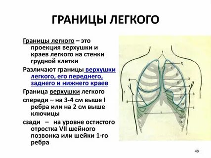 Границ верхнего и нижнего уровней