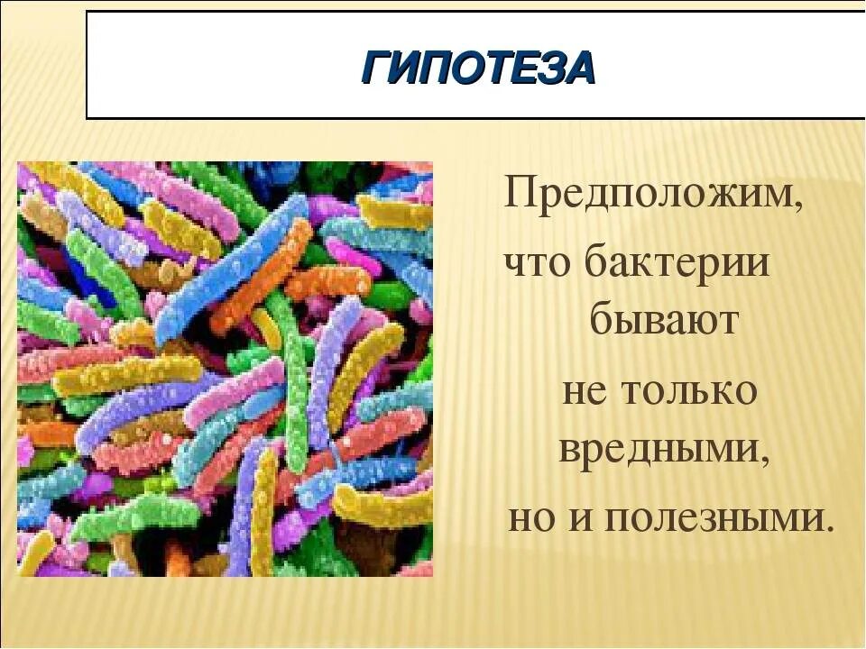 Вред наносимый бактериями. Полезные бактерии. Вредные бактерии. Полезные и вредные микроорганизмы. Полезные и болезнетворные бактерии.