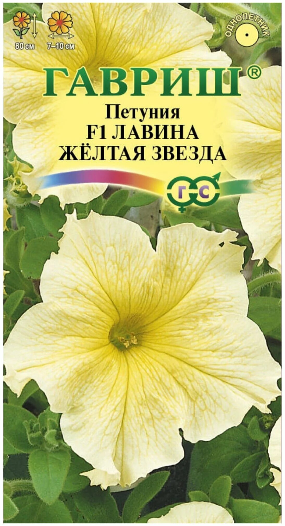 лавина желтая звезда ампельная