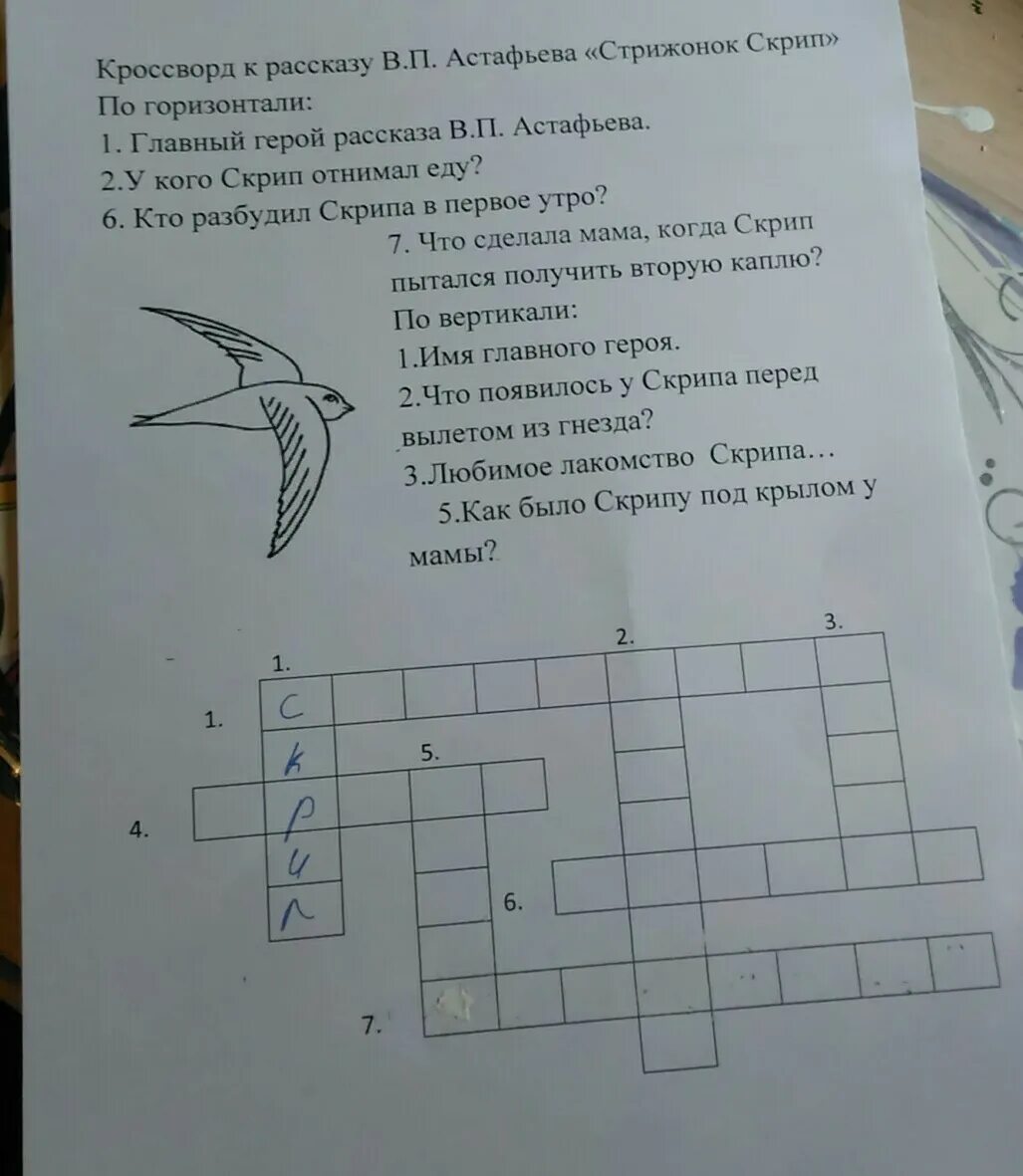 Стрижонок скрип 5 вопросов. Кроссворд по рассказу Стрижонок скрип. Красвордпо рассказу Стрижонок скрип. Кроссворд к рассказу Стрижонок скрип. Кроссворд к рассказу в п Астафьева Стрижонок.