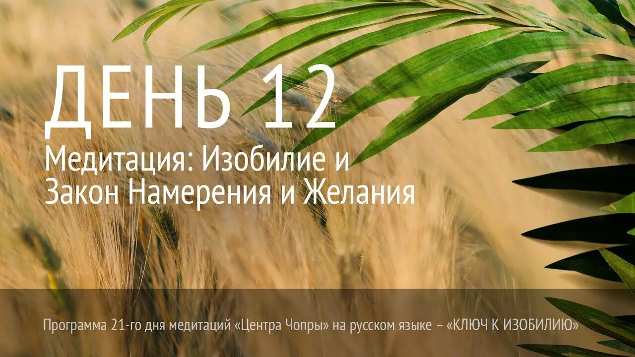 Марафон изобилия Дипак Чопра. Марафон изобилия Дипак Чопра 21 день. Дипак Чопра медитации на изобилие. Дипак Чопра медитации на 21 день. Медитация чопра день