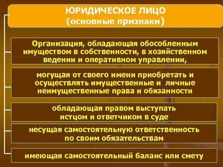 Право юридического лица осуществлять свою деятельность. К признакам юридического лица относится.