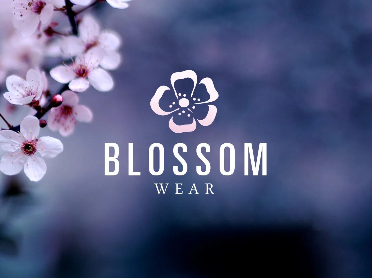 Сакура перевод. Blossom логотип. Логотип Blossom Cherry. Blossom надпись. Blossom приложение.