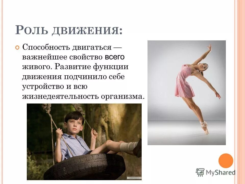 быстрота это способность человека. движение это способность. общая выносливость это способность. физическое качество быстрота. что такое координация по физкультуре.