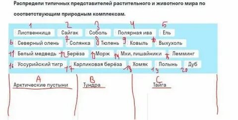 Распределите представителей