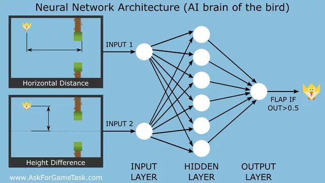 Input height. Artificial Neural Network Architecture. Генетический алгоритм нейронные сети. Обучение нейросети генетическим алгоритмом. Net Neural Network Architecture\.