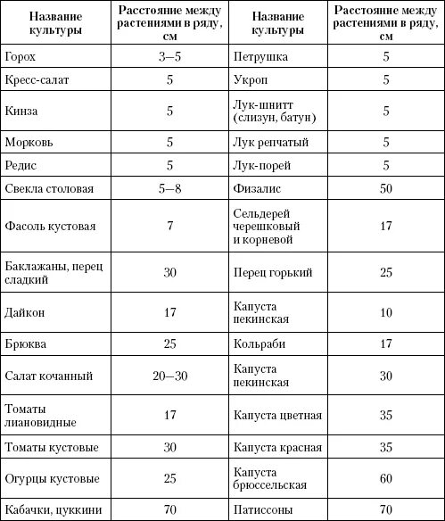 На каком расстоянии сажать свеклу. Схема посева семян моркови в открытый грунт. Схема посадки свеклы в открытом грунте. Морковь схема посадки в открытый грунт. Таблица расстояний посадки овощей.