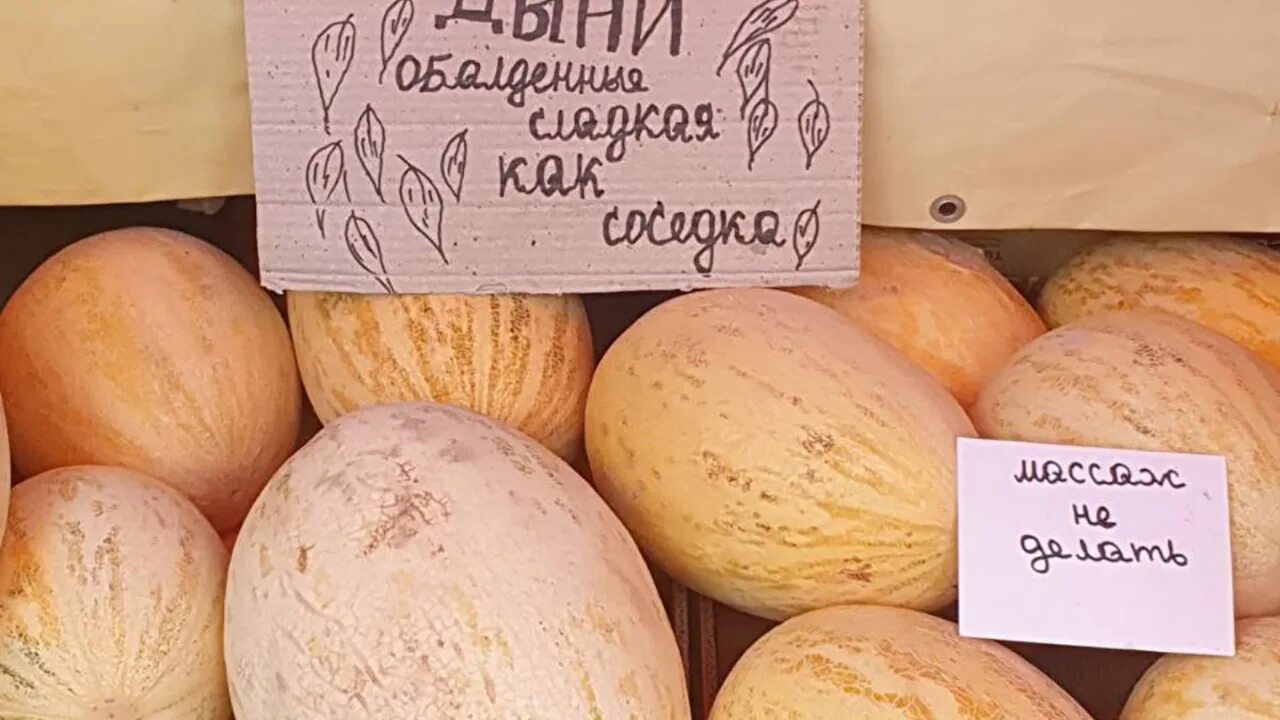 Сидр арбуз дыня. Слушать потому что ты дыня. Дыня сластена f1. Сидр арбуз дыня. Прикольная надпись на дыни.
