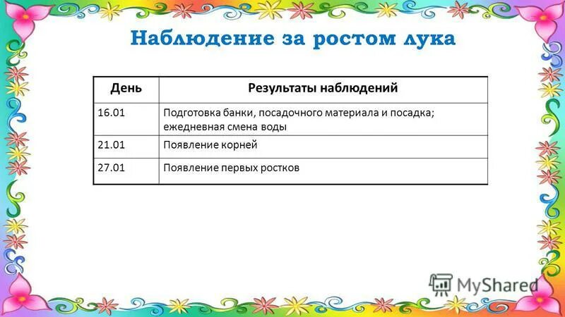 Наблюдение за луком 5 класс биология таблица - Распиновки.ру