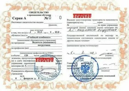 Нужна ли стажировка водителей