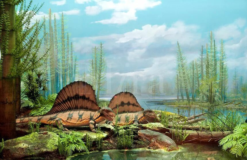 пермский период палеозойской эры. мезозойская эра юрский период меловой период. пермский период палеозойской эры растения. пермский период палеозойской эры растения. пермский период растения.