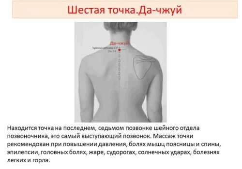 Как определить седьмой позвонок. Седьмой шейный позвонок. Где находятся шейные позвонки. 7 Шейный позвонок выступающий.