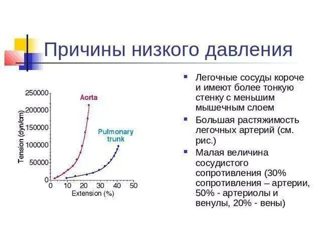 Отчего давление. Причины снижения артериального давления. постоянное низкое давление причины. почему нмское давление. пониженное давление причины.