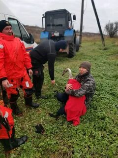 Спасать судьбу