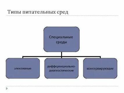 Системы относятся к специальным