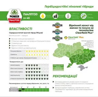 Подсолнечник норма