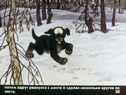 Чехов белолобый читать полностью весь текст