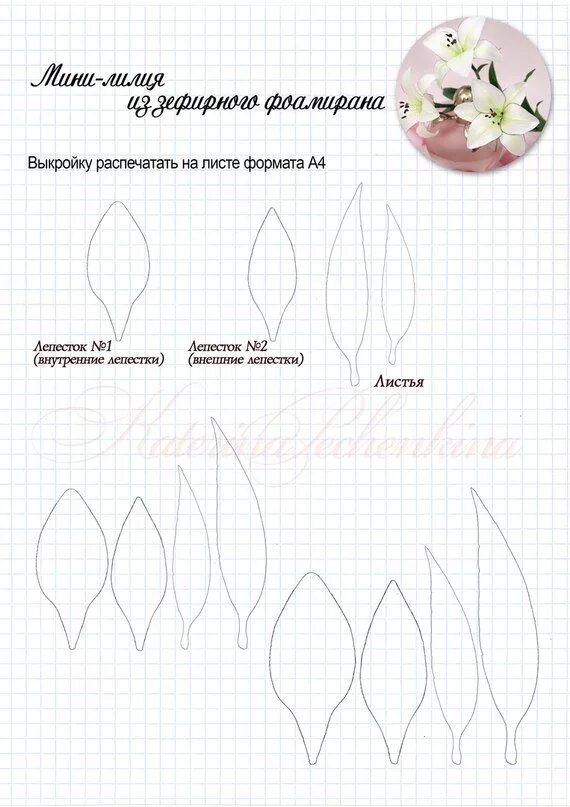 Форма листьев лилии. Выкройки цветов. Цветы из фоамирана трафареты. Выкройки цветов из фоамирана. Лекало цветов из фоамирана.