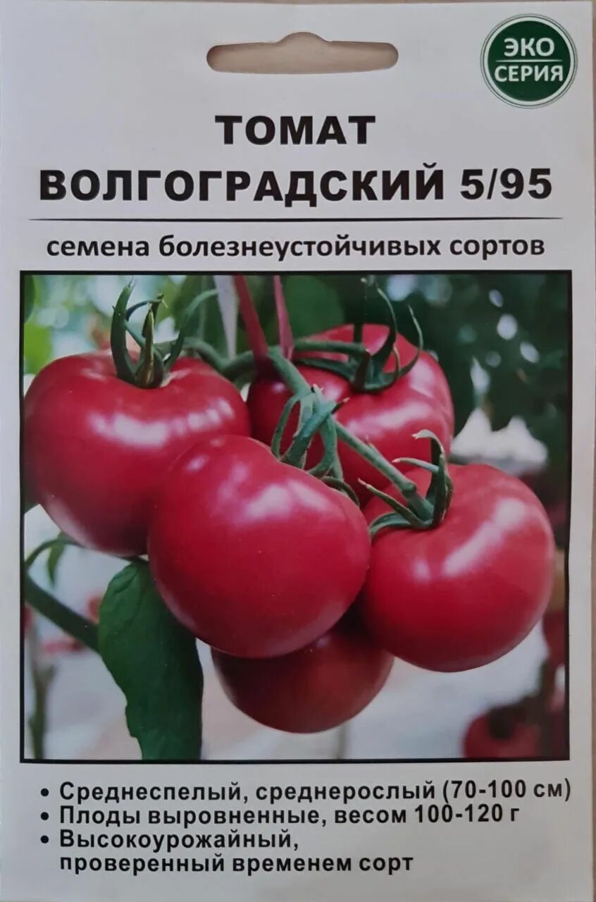 Томат Цифомандра: характеристика и описание высокоурожайного сорта с фото