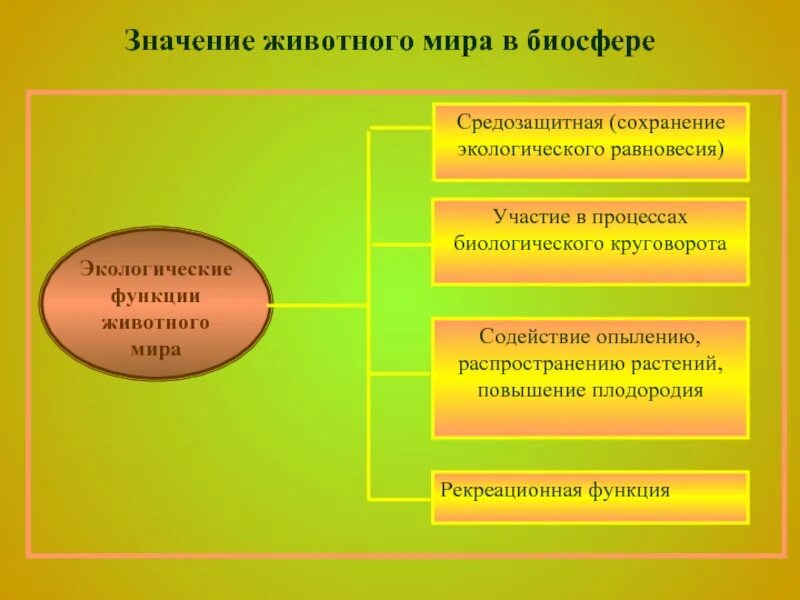 Значение животных в биосфере. Функции животных в биосфере. Роль и значение животных в биосфере. Какую роль биосфера играет в жизни людей