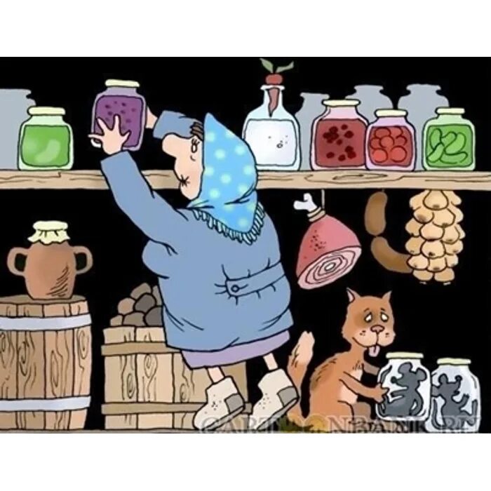 Саша ивойлова иллюстратор. Есть про запас. Шутки про заготовки на зиму. Хороший урожай. Есть про запас.