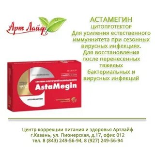 Artlife fest 2023 билеты