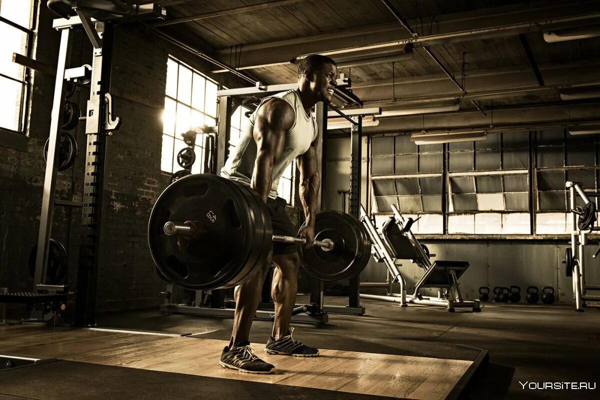 физическая подготовка. упражнения для быстроты бега. скорость силовых упражнений. упражнения на силовые способности. упражнения для развития быстроты у школьников.