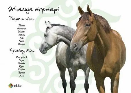 Жыныстық қатынастағы ретро басқа адамдардың әйелдері