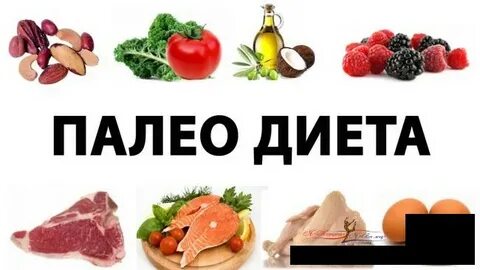 Палео это