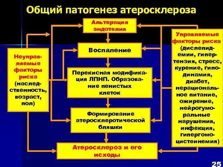 Патогенез атеросклероза патофизиология. Факторы патогенеза атеросклероза. Патогенетические механизмы развития атеросклероза. Атеросклероз этиология и патогенез. Общая этиология общий патогенез