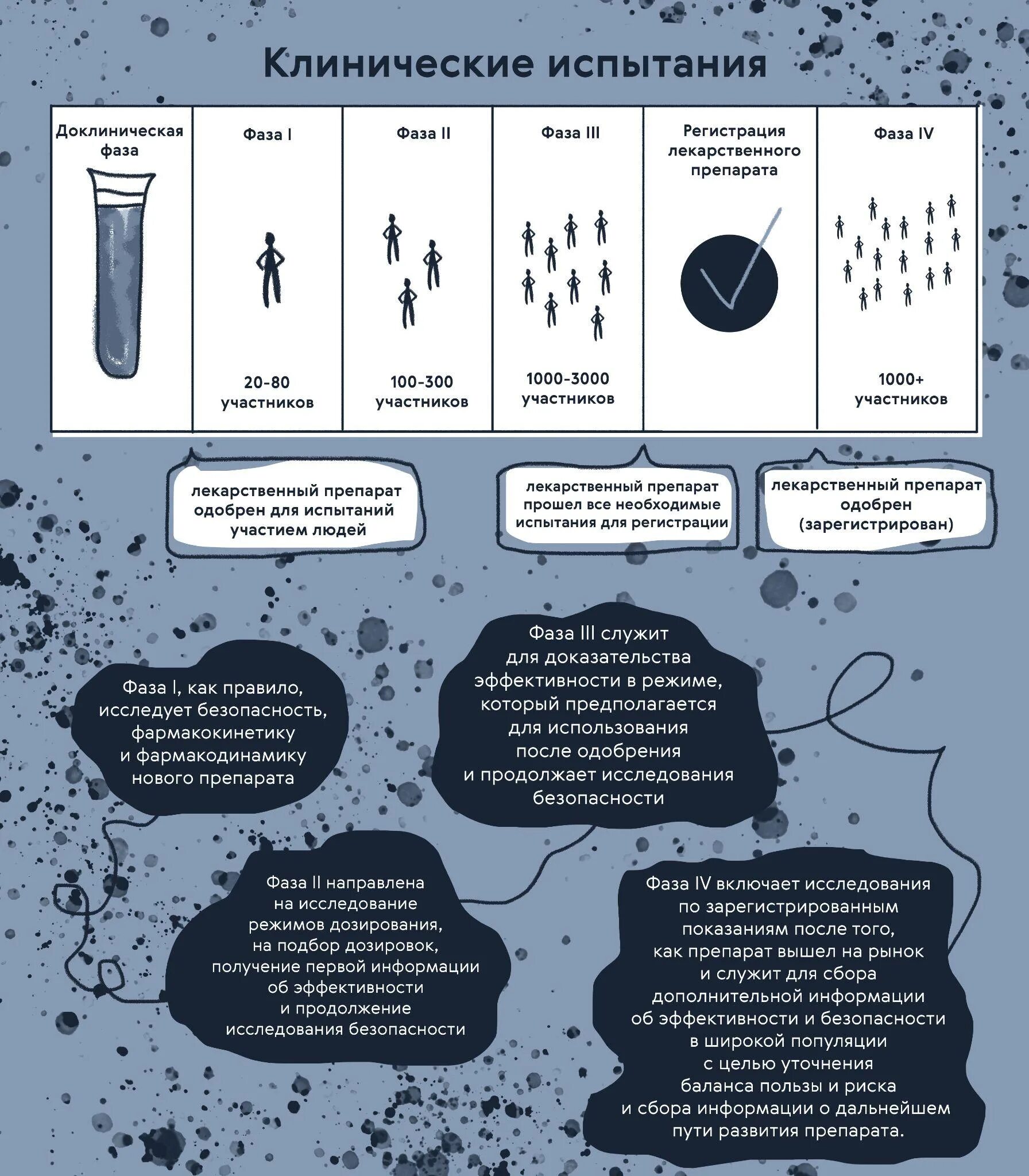 Включи а 4 16 способов. Стадии клинических испытаний. Фазы клинических исследований. 4 Фаза клинических исследований. Клинические испытания 1-4 фазы.