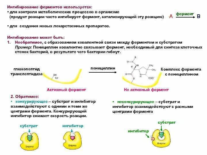 Ингибирование ферментов. Типы ингибирования ферментов. Ингибирование продуктом реакции. Ингибирование активности ферментов.