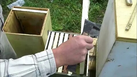 Рамки для ловушки пчел