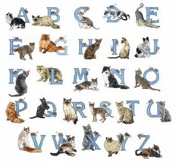 Кошка на букву х