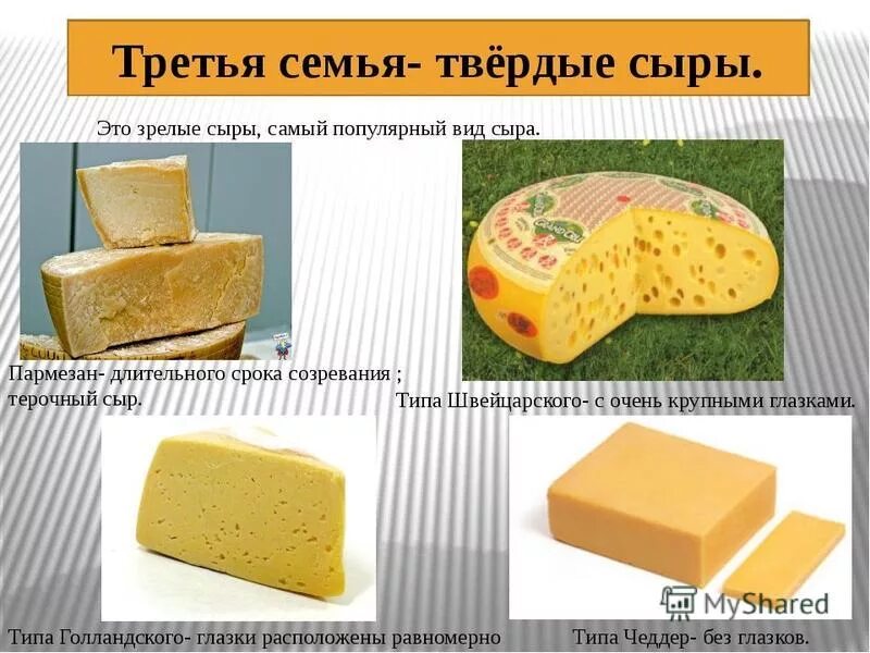 Как отличить сыр. Твердые сорта сыра. Твёрдый сыр название. Твёрдые сыры сорта название. Сыр твердых сортов.