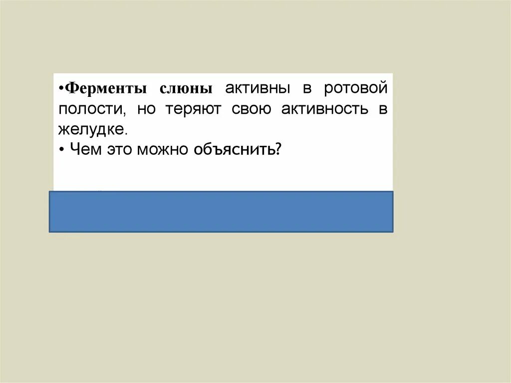 Ферменты ротовой полости активны. Ферменты слюны. Почему ферменты слюны теряют активность в желудке. Почему ферменты слюны активны в ротовой полости но теряют свою. Почему ферменты слюны теряют свою активность в желудке ОГЭ.