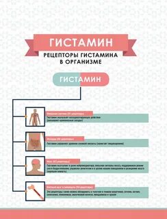 Антигистаминная еда